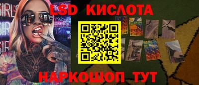 mdpv Краснознаменск