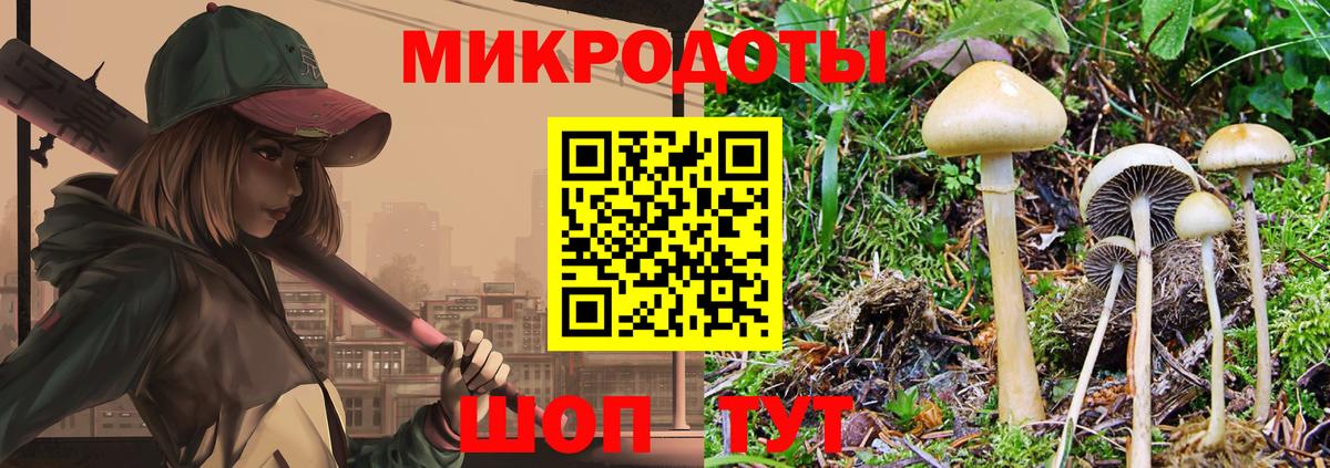 Заинск  Псилоцибиновые грибы прущие грибы  Вход с VPN 
